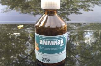 amonyak