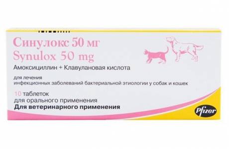 Sinulox kissoille