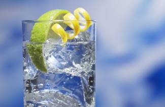Qu'est-ce que le gin