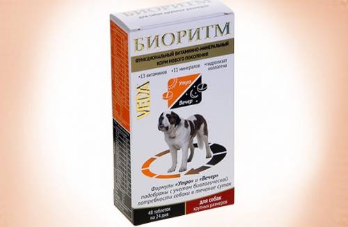 Vitamiinit isojen rotujen pennuille