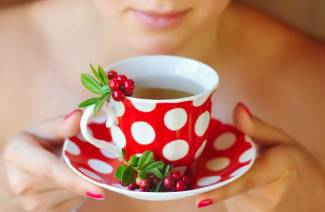Comment brasser des feuilles d'airelles