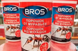 Bros muurahaisista