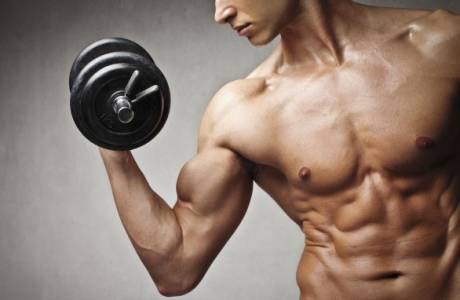 Dieta Muscular