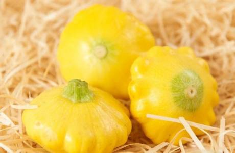 Was ist Squash?