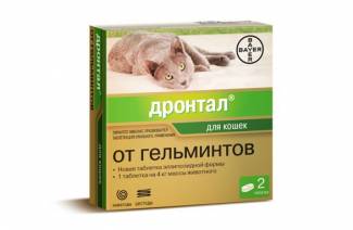 Drontal pour les chats