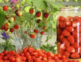 Compote de fraises pour l'hiver