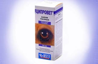 Ciprovet kissoille