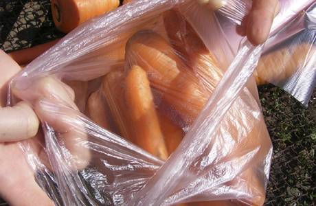 Comment conserver les carottes