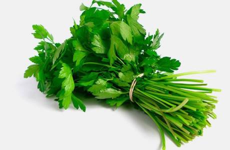 Tính chất hữu ích của rau mùi tây