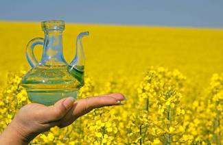 Olio di camelina
