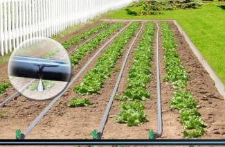 Système d'irrigation goutte à goutte