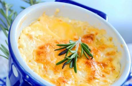Classic potato gratin