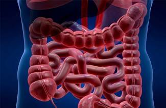 Quel est le meilleur, coloscopie ou IRM intestinale