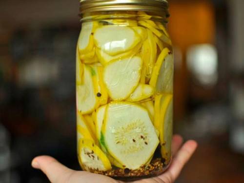 Courgettes en conserve pour l'hiver