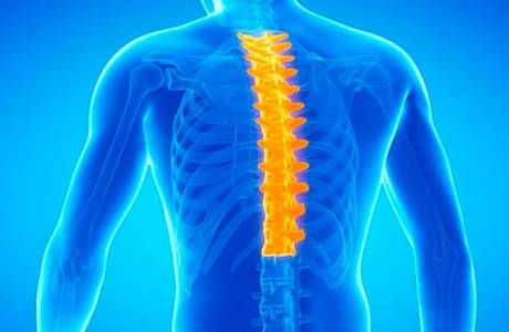 Sintomas da osteocondrose torácica