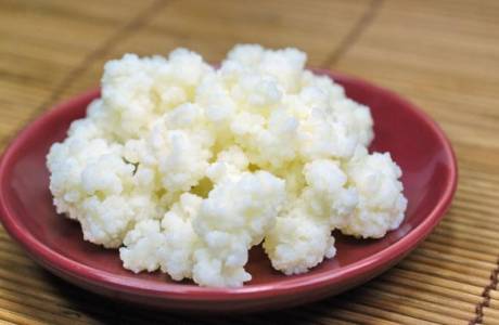 Ciuperca de Kefir