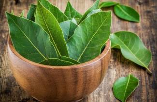 Cómo usar la hoja de laurel con fines medicinales