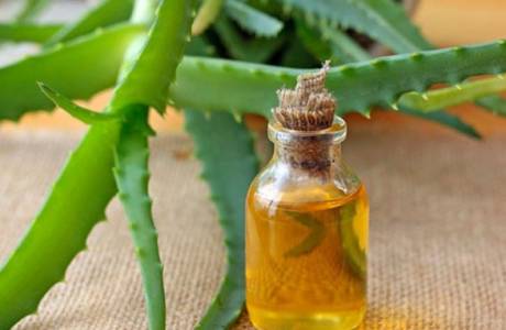 Aloe cu miere