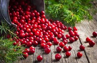 คุณสมบัติที่มีประโยชน์ของ lingonberries