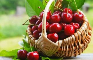 Gelée de cerises d'hiver à la gélatine