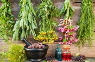 Erbe efficaci per la prostatite