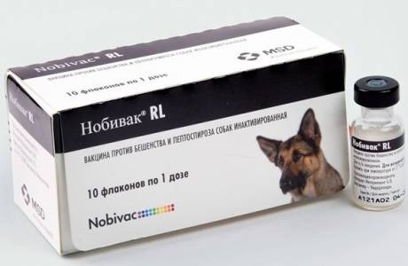 Nobivak per cani