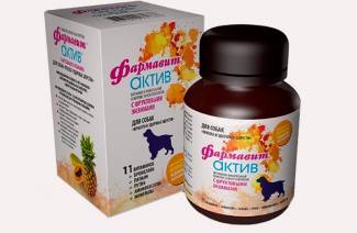 Vitamiinit pienten rotujen koiranpennuille