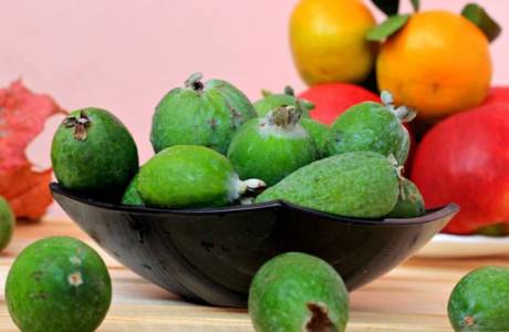 Mứt Feijoa không cần nấu
