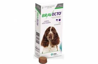 Bravecto koirille
