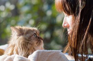 Toxoplasmosi del cervello