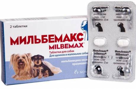 Milbemax para cães