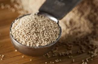 Purée de levure sèche