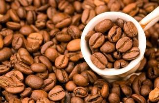 Qu'est-ce que le robusta