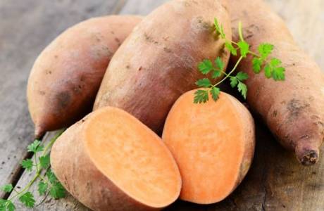 Tatlı patates nedir