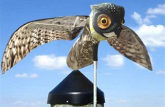 Repeller Bird Ultrasonic