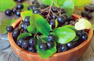 Chokeberry من الضغط