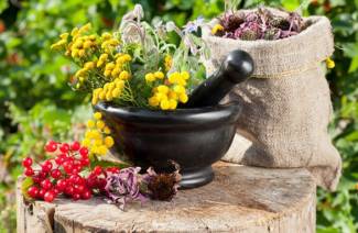 Erbe diuretiche