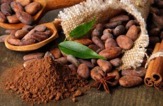 Fèves de cacao