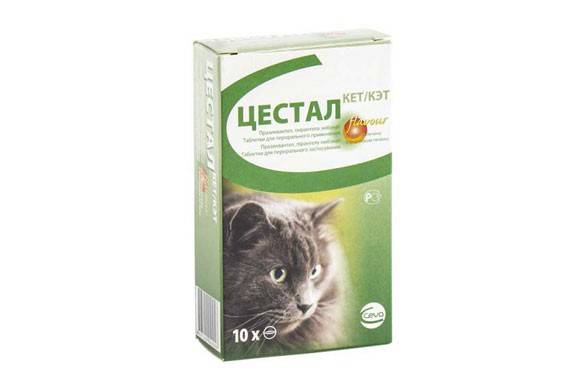 Cestal para sa mga pusa