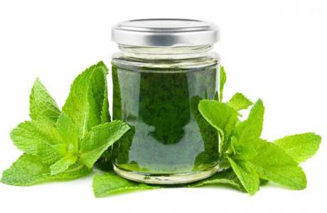 Mermelada De Menta