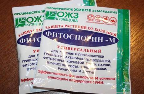 fitosporin
