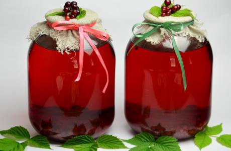 Redcurrant compote cho mùa đông