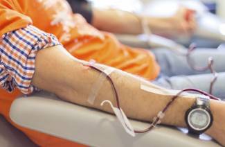 Avantages pour les donateurs honoraires en 2019