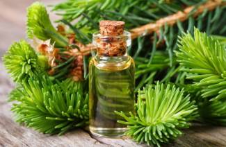 Proprietà medicinali e controindicazioni dell'olio di abete