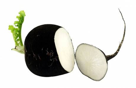 Radis pour perdre du poids