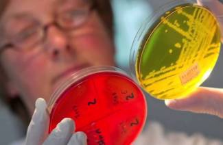 Les parasites dans le corps humain