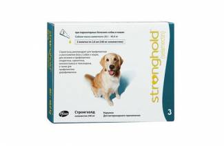 Forteresse pour chiens