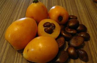 คุณสมบัติที่มีประโยชน์ของ medlar