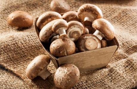 Champignons ในครีม