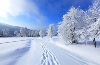 Janvier 2019 Météo